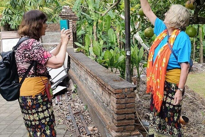 Ultimate Bali ATV Swing Volcano Ubud Private Guided Tour
