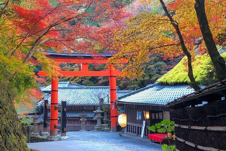 Kyoto Arashiyama Bosque de bambú y paisaje Tour privado personalizado