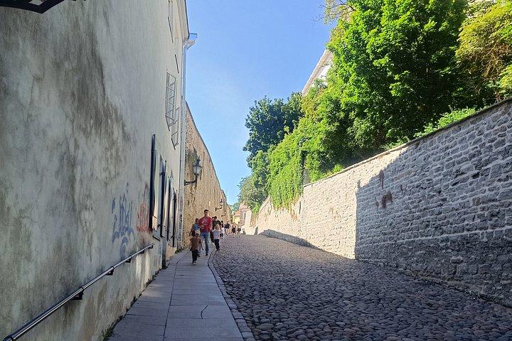 Old Tallinn Highlights & its Medieval Past