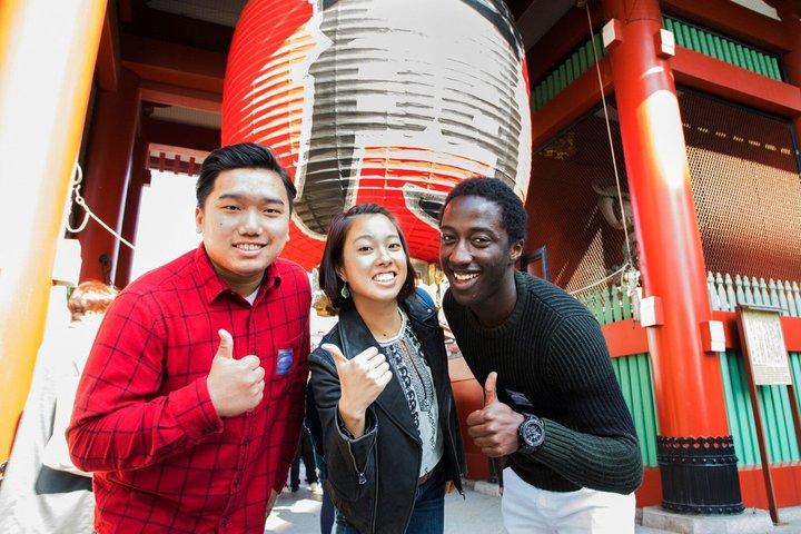 Tokyo Panoramic Full Day Tour: Meiji Shrine, Asakusa and SKYTREE®