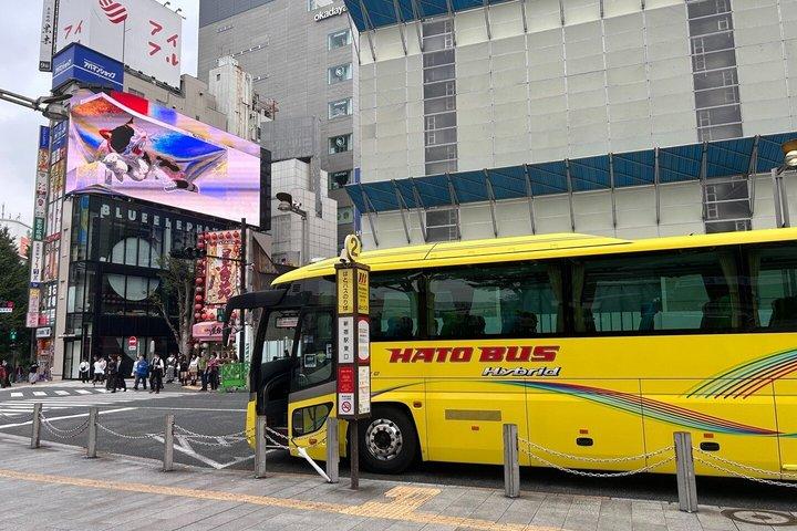 東京パノラマ全日ツアー：明治神宮、浅草、スカイツリー®