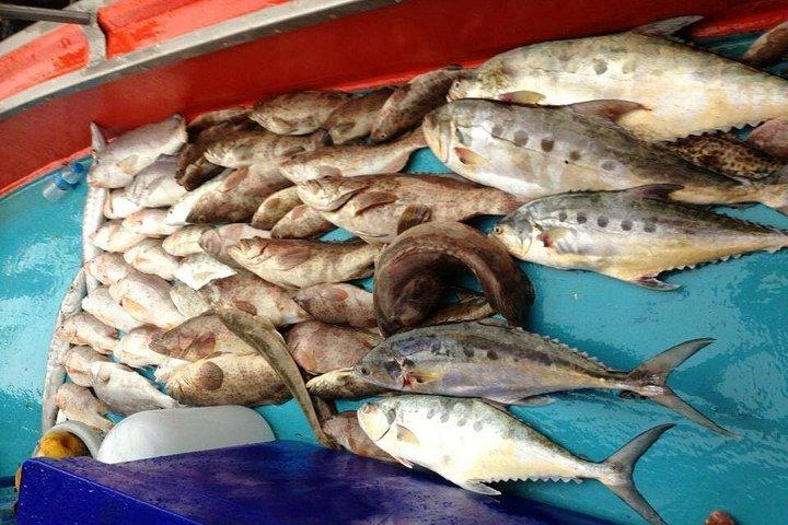 サムイ島プライベートナイトフィッシング（船上で新鮮な水揚げ料理付き）