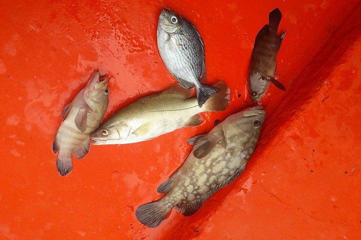 サムイ島プライベートナイトフィッシング（船上で新鮮な水揚げ料理付き）