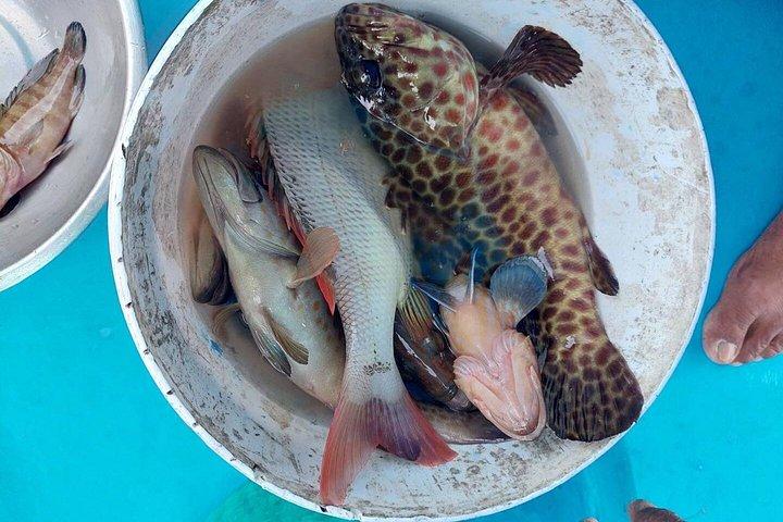 サムイ島プライベートナイトフィッシング（船上で新鮮な水揚げ料理付き）