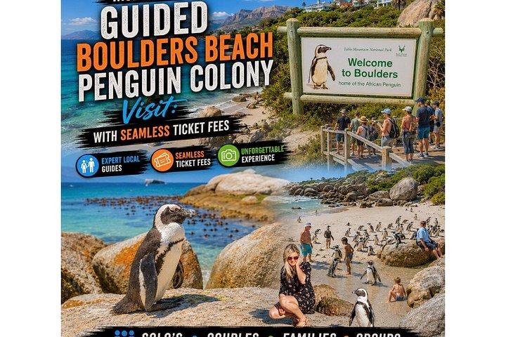 Full-Day Guided Table Mountain Hike & Boulders Penguin Tour
