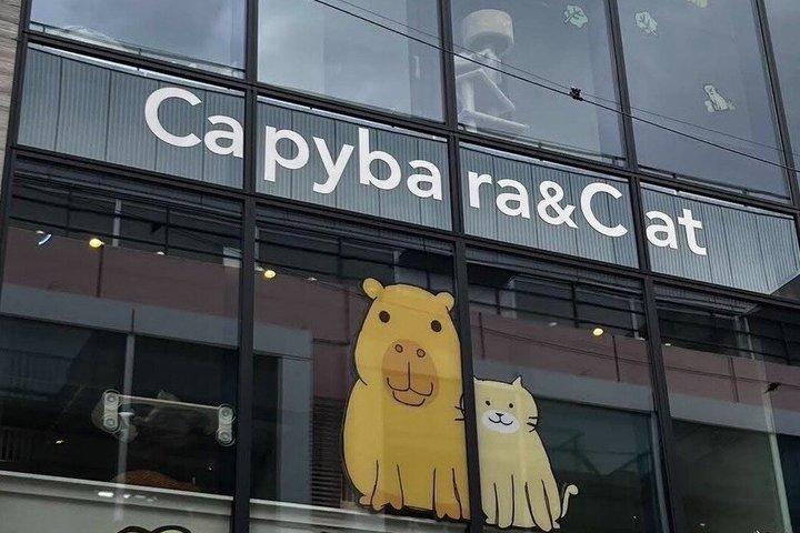 Capybara & Community Cat Interaction Experience (Snack Included)