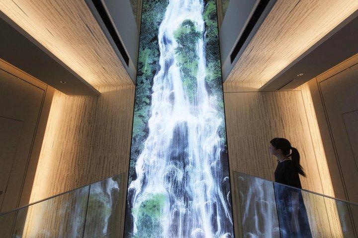 Tokyo TeamLab Borderless biljett med valfri privat transfer