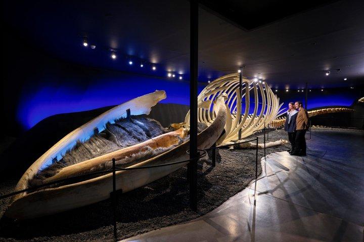 Húsavík walvismuseumticket