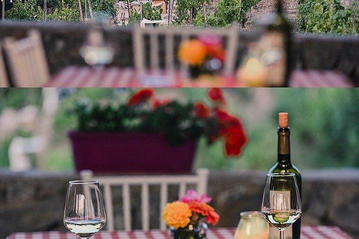 S&S Winery - Expérience de dégustation de vins à Ohrid