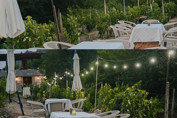 S&S Winery - Expérience de dégustation de vins à Ohrid