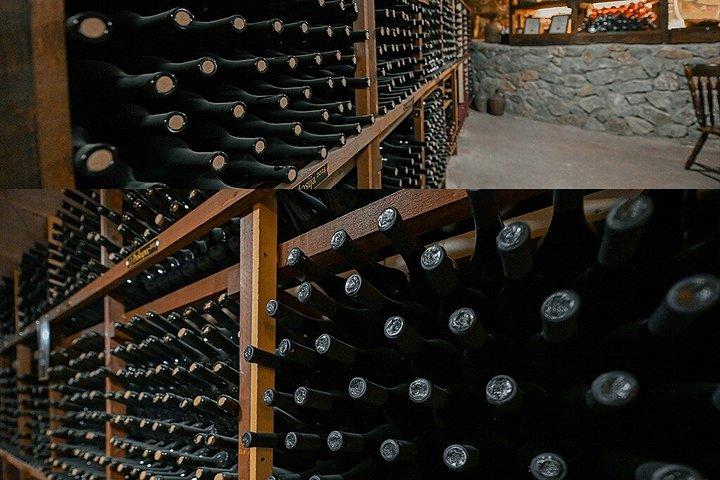 S&S Winery - Expérience de dégustation de vins à Ohrid