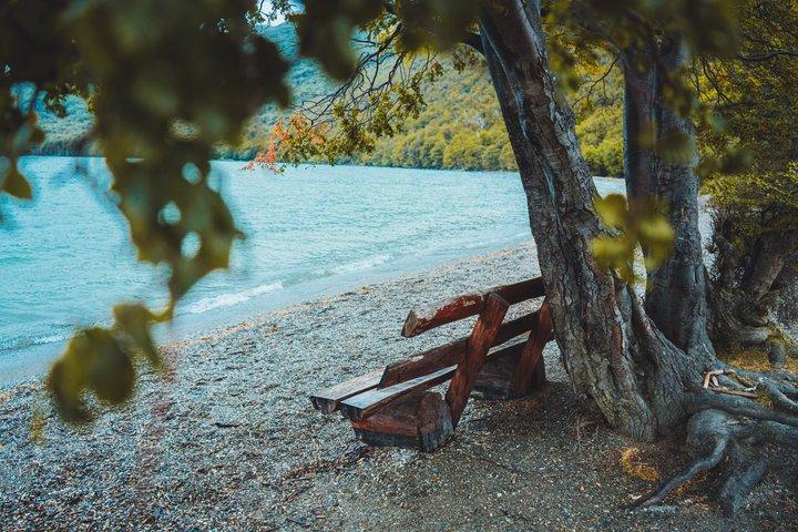 Tour al Parque Nacional Tierra del Fuego + Tren del Fin del Mundo