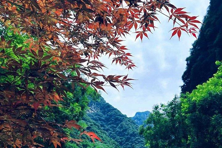 華岳への個人ガイド付きツアー