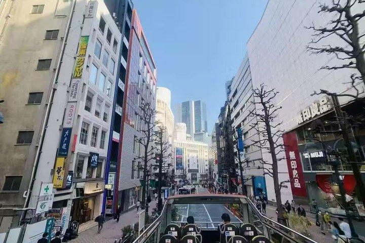 Busstur till Tokyo City Highlights med TeamLab Planets-biljett