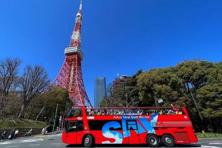 Busstur till Tokyo City Highlights med TeamLab Planets-biljett