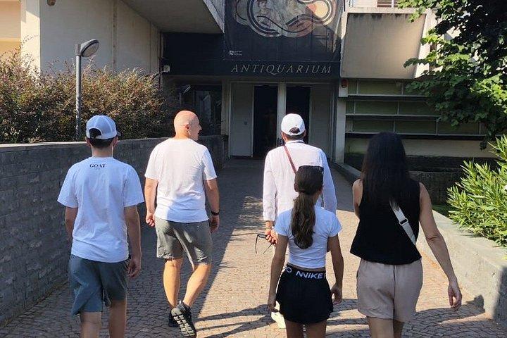 ローマからのポンペイ、ヘルクラネウム、ソレントのプライベート デイ ツアー