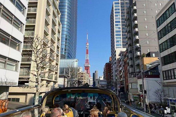 Tokyo City Highlights Bus Tour with TeamLab Borderless Ticket