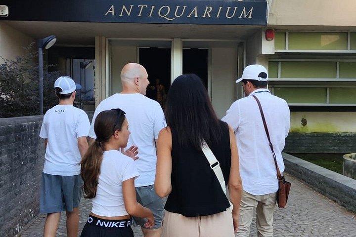 ローマからのポンペイ、ヘルクラネウム、オプロンティのプライベート デイ ツアー