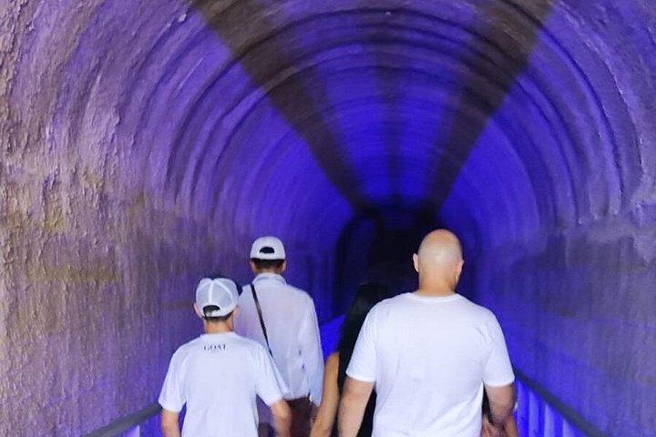 ローマからのポンペイ、ヘルクラネウム、オプロンティのプライベート デイ ツアー