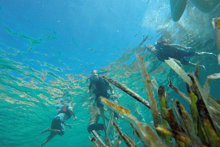 イビサ島でのシュノーケリング：洞窟と透き通った海を巡るガイド付きツアー
