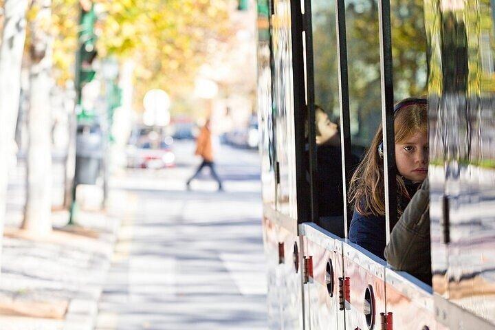 グラナダ・ホップ・オン・ホップ・オフ観光列車チケット（音声ガイド付き）