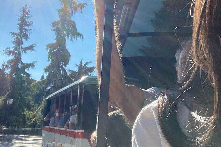 グラナダ・ホップ・オン・ホップ・オフ観光列車チケット（音声ガイド付き）