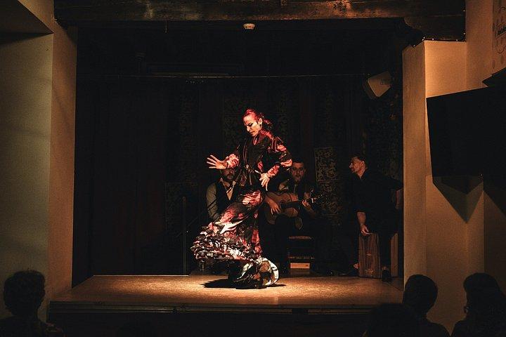 行をスキップ：Tablao Flamenco Andalusíチケット