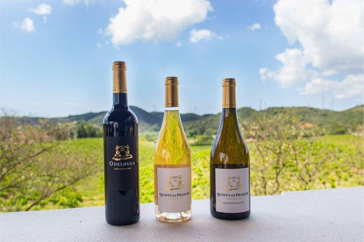 Visite des vins d'Albufeira : 2 vignobles, 6 dégustations et silves historiques