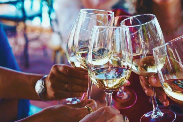 Visite des vins d'Albufeira : 2 vignobles, 6 dégustations et silves historiques