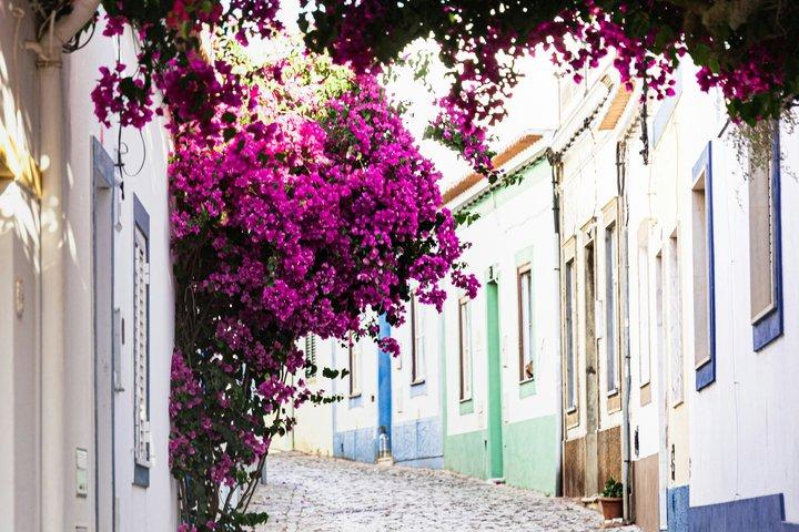 Visite des vins d'Albufeira : 2 vignobles, 6 dégustations et silves historiques