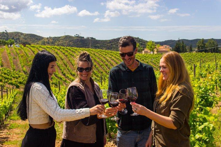 Dégustation de vin d'Albufeira : Visite de la cave Boutique & Silves historiques