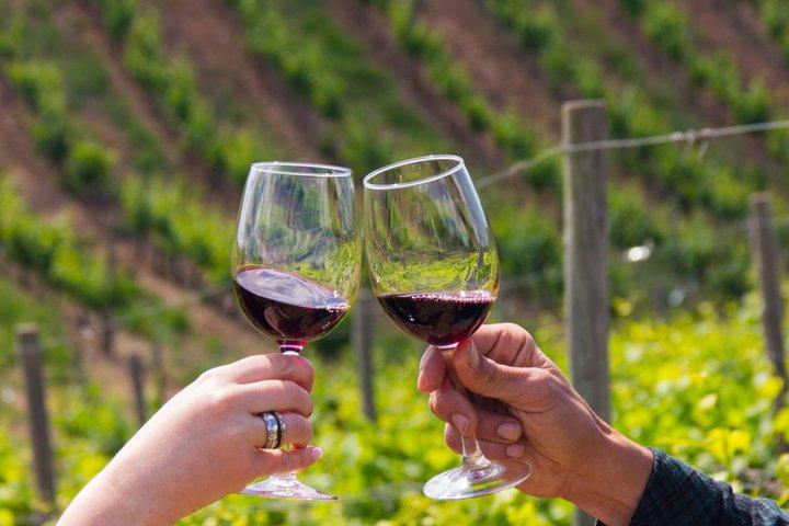 Degustazione di vini di Albufeira : tour della cantina boutique e silves storici