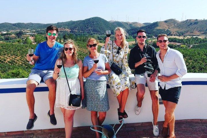 Degustazione di vini di Albufeira : tour della cantina boutique e silves storici