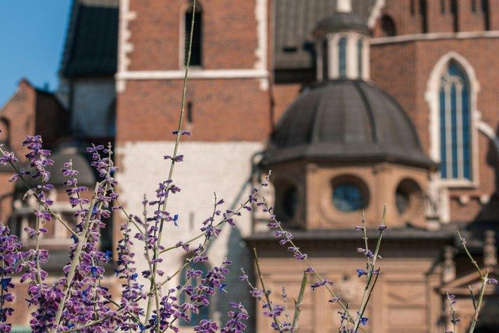 Kathedraal van Wawel Castle met een Engelse Gids