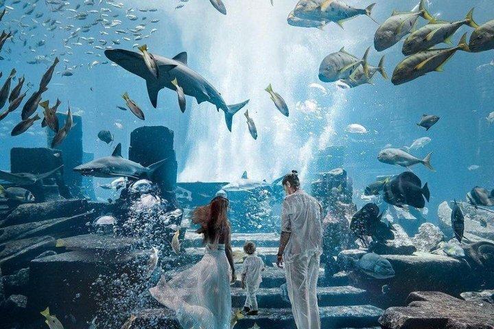 Atlantis Aquaventure Waterpark Dubai Day Pass with Options