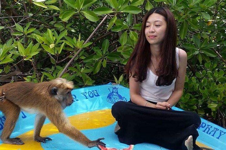 アヌラーダプラ遺跡ツアー-トゥク〜トゥク探検