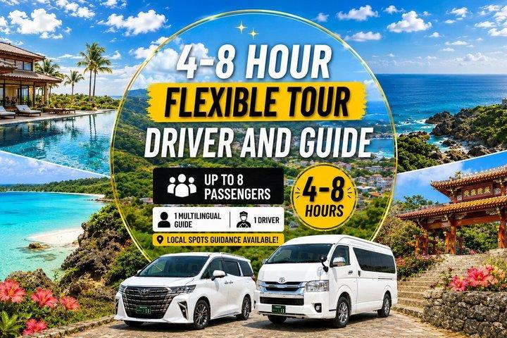 Okinawa Flexible Tour—Driver and Guide Included 1–8 Guests（4-8H）