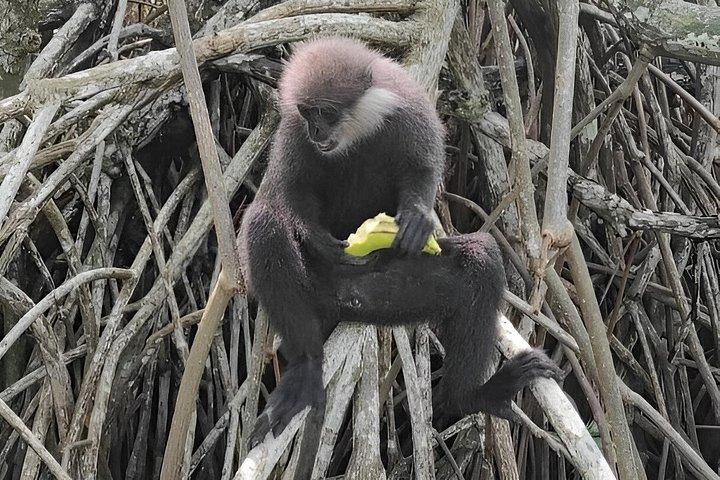 プライベートベントータリバーサファリ野生動物アドベンチャーと絶景