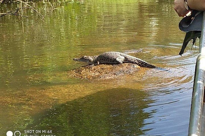 プライベートベントータリバーサファリ野生動物アドベンチャーと絶景