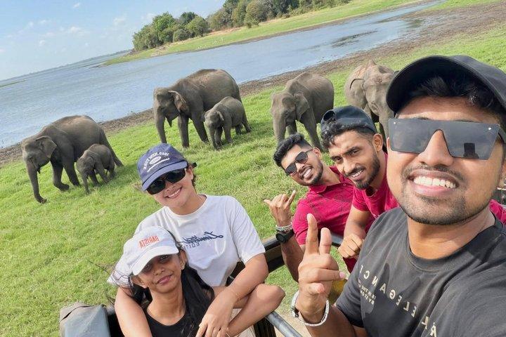 Ultimate Elephant Safari Experience With Gisban Tours