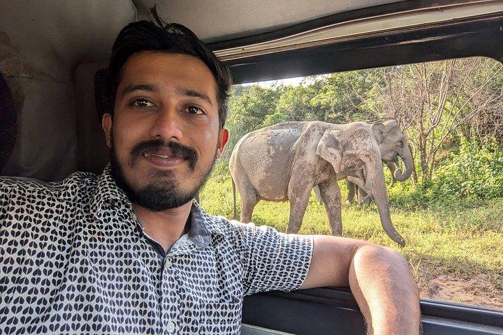 Ultimate Elephant Safari Experience With Gisban Tours