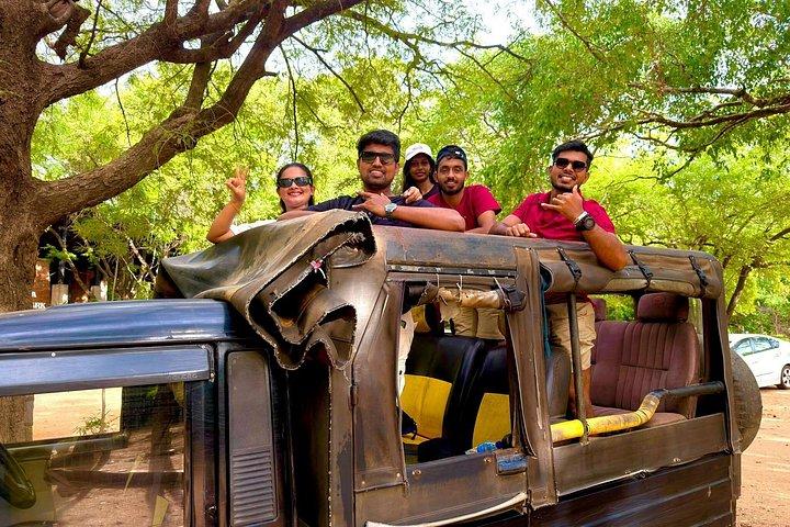 Ultimate Elephant Safari Experience With Gisban Tours