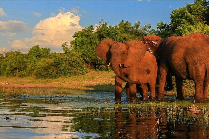 Desde Johannesburgo Parque Nacional Safari Pilanesberg de 3 días
