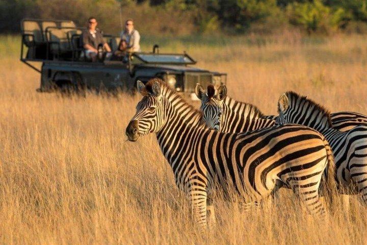 Desde Johannesburgo Parque Nacional Safari Pilanesberg de 3 días
