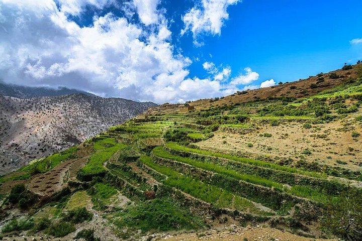 Atlas Mountains & Imlil Valley Dagstur med vandfald og frokost