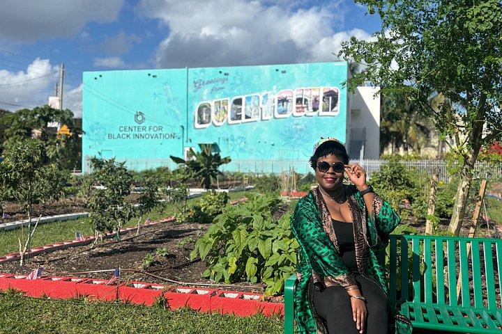 Melanin Miami: Black History Tour (w/ food)