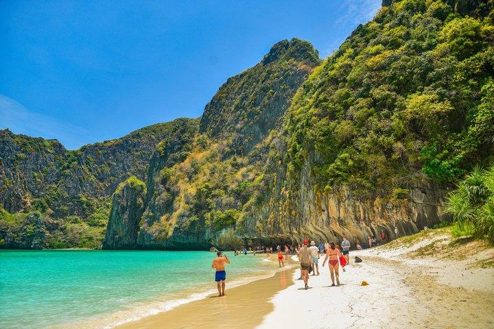 Phi Phi Maya Bay Half Day Sunset Speedboat Trip with Plankton