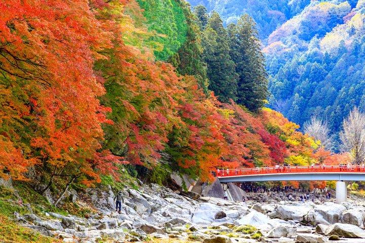 Il panorama autunnale di Nagoya mette in evidenza Magome Shikizakura e Korankei