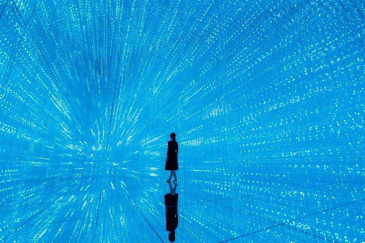 Tokyo City Highlights Bus Tour with TeamLab Planets Ticket