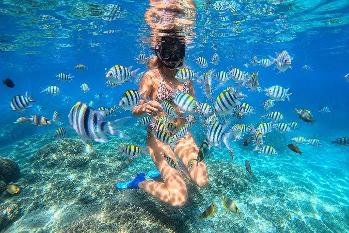 Bali Snorkeling at Blue Lagoon and Tanjung Jepun with Transfer